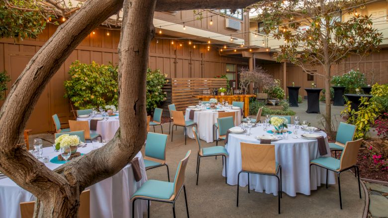 An outdoor event setup with round tables covered in white tablecloths, chairs, and floral centerpieces, surrounded by plants, and string lights above.