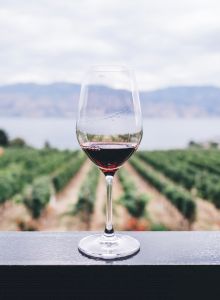 A glass of red wine rests on a ledge, overlooking a lush vineyard with a mountainous landscape and a body of water in the distance, under a cloudy sky.