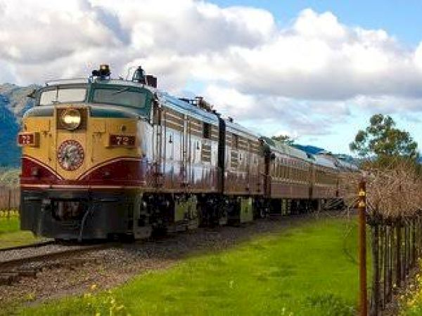 A vintage train travels through a scenic countryside, surrounded by green fields and mountains under a partly cloudy sky, with grapevines lining the tracks.