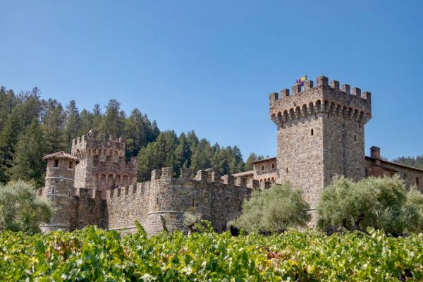 The image shows a large, medieval-style stone castle with towers and crenellations, surrounded by vineyard greenery and backed by a forested area.