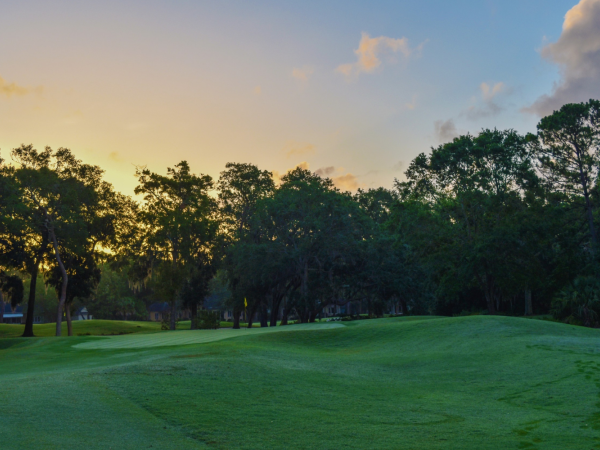 A serene image of a golf course at dawn or dusk, featuring lush green fairways, tall trees, and a vibrant sky with soft clouds.