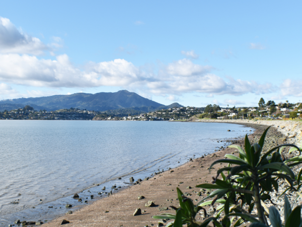 A coastal shoreline with calm waters, plants in the foreground, distant mountains, a clear sky, and houses along the shore can be seen.
