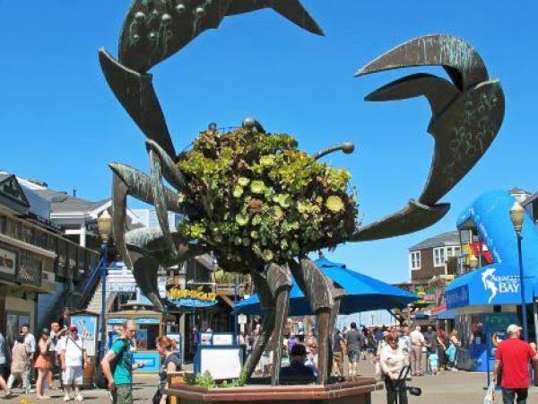 A large crab sculpture with a plant arrangement stands in a bustling outdoor area with shops and people walking around under a clear blue sky.