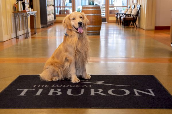 A golden retriever sits on a mat with "The Lodge at Tiburon" written on it, inside a building.
