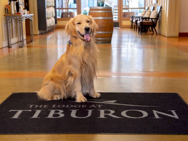 A golden retriever sits on a mat with "The Lodge at Tiburon" written on it, inside a building.