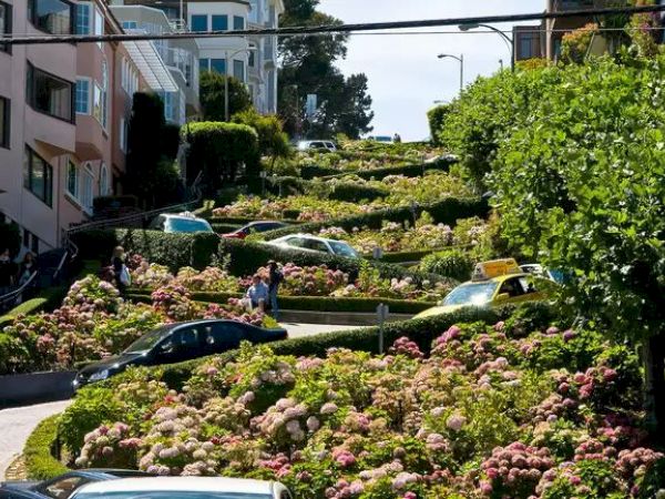 A winding, steep street with tight switchbacks, lined with colorful flowers and greenery, with cars and pedestrians navigating the curves.