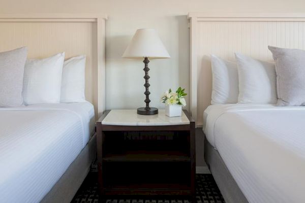 The image shows two neatly made beds with white linens and pillows, separated by a wooden nightstand with a lamp and a small potted plant.