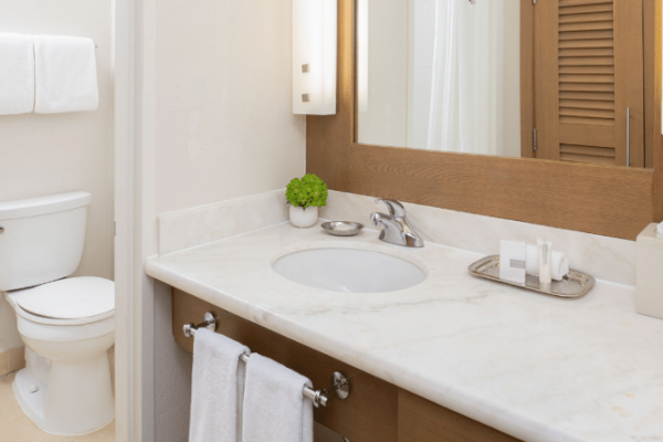 A clean bathroom with a sink, mirror, potted plant, toiletries, tissue box, toilet, and towels on the rack and hanging.