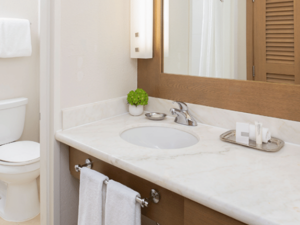 A clean bathroom with a sink, mirror, potted plant, toiletries, tissue box, toilet, and towels on the rack and hanging.
