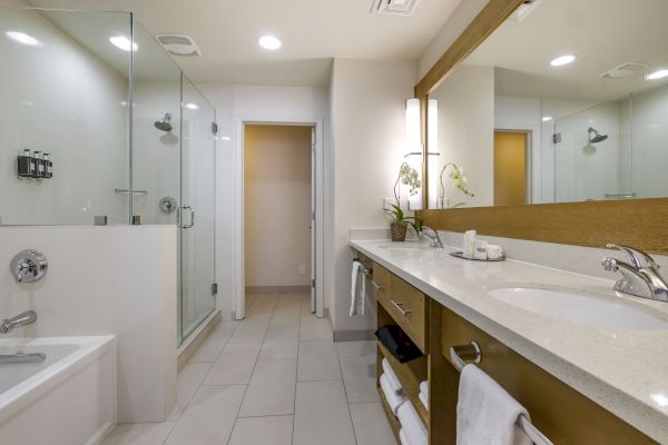 This image shows a modern bathroom with a bathtub, glass-enclosed shower, double sink vanity, large mirror, and elegant lighting.