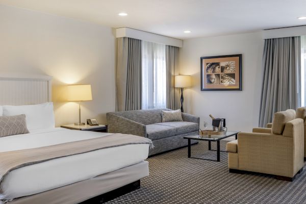 This image shows a modern, well-lit hotel room with a king-sized bed, gray sofa, two armchairs, and a coffee table, decorated in neutral tones.