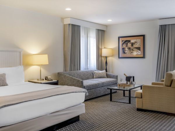 This image shows a modern, well-lit hotel room with a king-sized bed, gray sofa, two armchairs, and a coffee table, decorated in neutral tones.