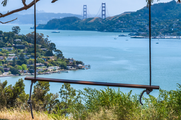 A scenic view of a swing overlooking a body of water with houses, lush greenery, and a distant iconic bridge in the background.