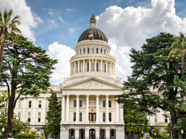 A grand building with a large dome, surrounded by trees and set against a cloudy sky, likely a government or historical structure.