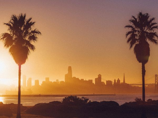 Sunset view featuring two palm trees in the foreground with a city skyline and bridge in the background.