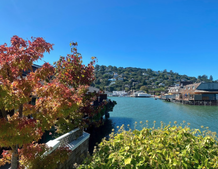 A scenic view with red and green trees, a calm waterway, and buildings on the shoreline, set against a clear blue sky and hills.