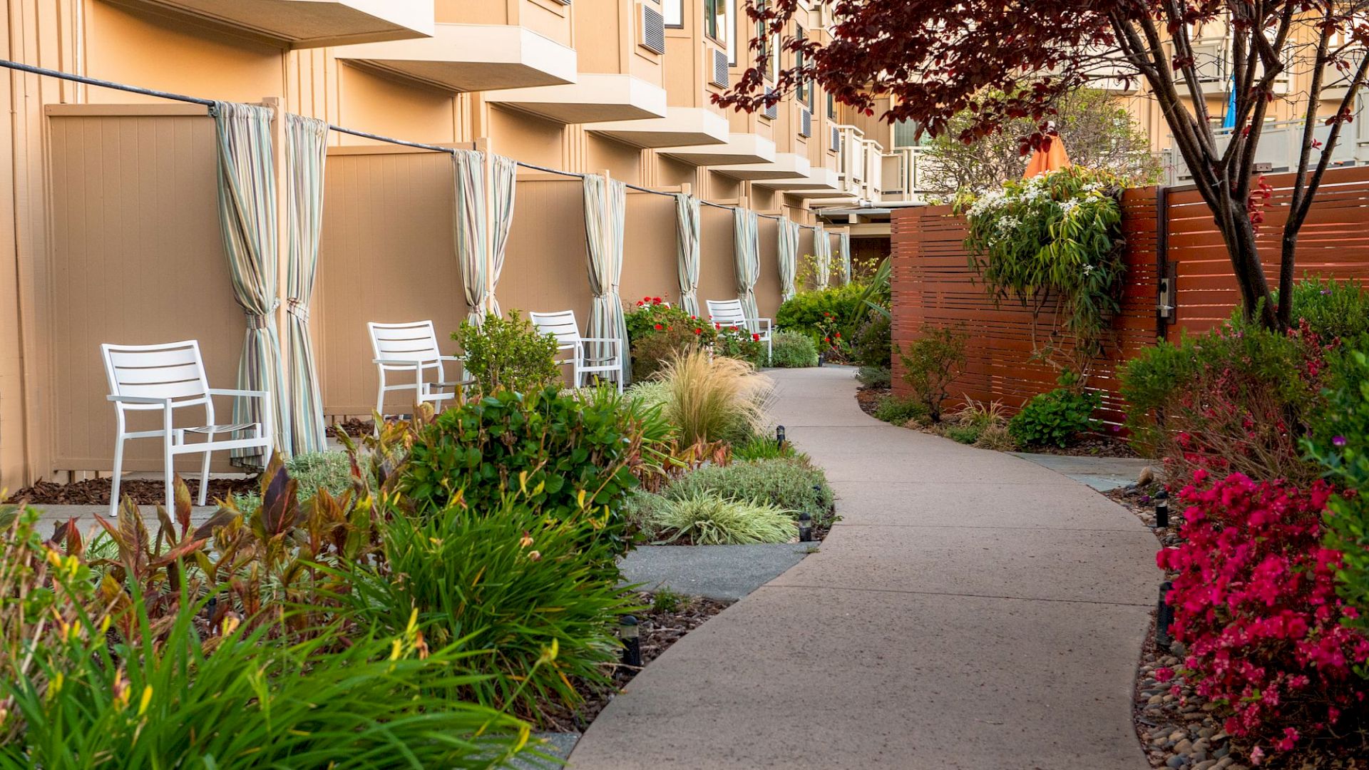 A sidewalk with landscaped shrubbery and white chairs under striped curtains along a beige apartment building pathway.