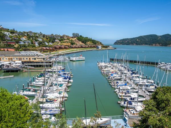 A sunny harbor filled with numerous sailboats docked in neat rows, with a coastline village on rolling hills and calm blue water in the background.