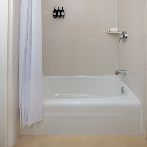 The image shows a bathroom with a white bathtub, a shower curtain, wall-mounted dispensers, and a soap dish. A wooden door is partially visible.