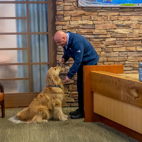 A man in a blue jacket is petting a golden retriever inside an office with wooden furniture and a stone wall decoration.