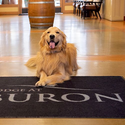 A golden retriever sits on a mat that reads "The Lodge at Tiburon," in a well-lit hallway with a wooden barrel and furniture in the background.