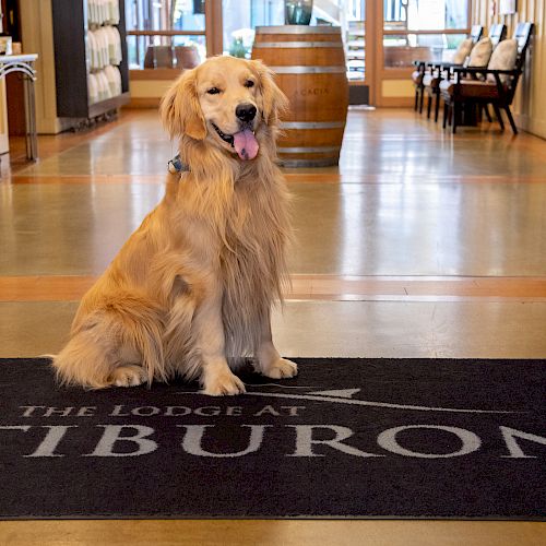 A Golden Retriever sits on a black mat with "The Lodge at Tiburon" written on it, inside a building with wooden furniture and decor.